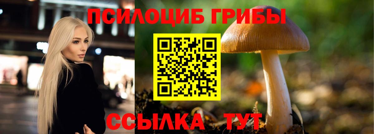 Псилоцибиновые грибы Magic Shrooms  Вход с VPN  Галлюциногенные грибы мицелий  Осинники 